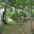 promenade dans le parc de Kerhir